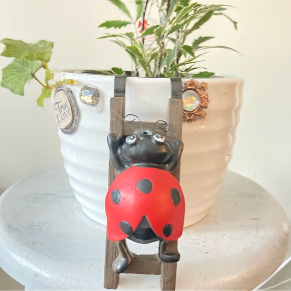 Flower pot hugger ladybug - Picture 9 of 11
